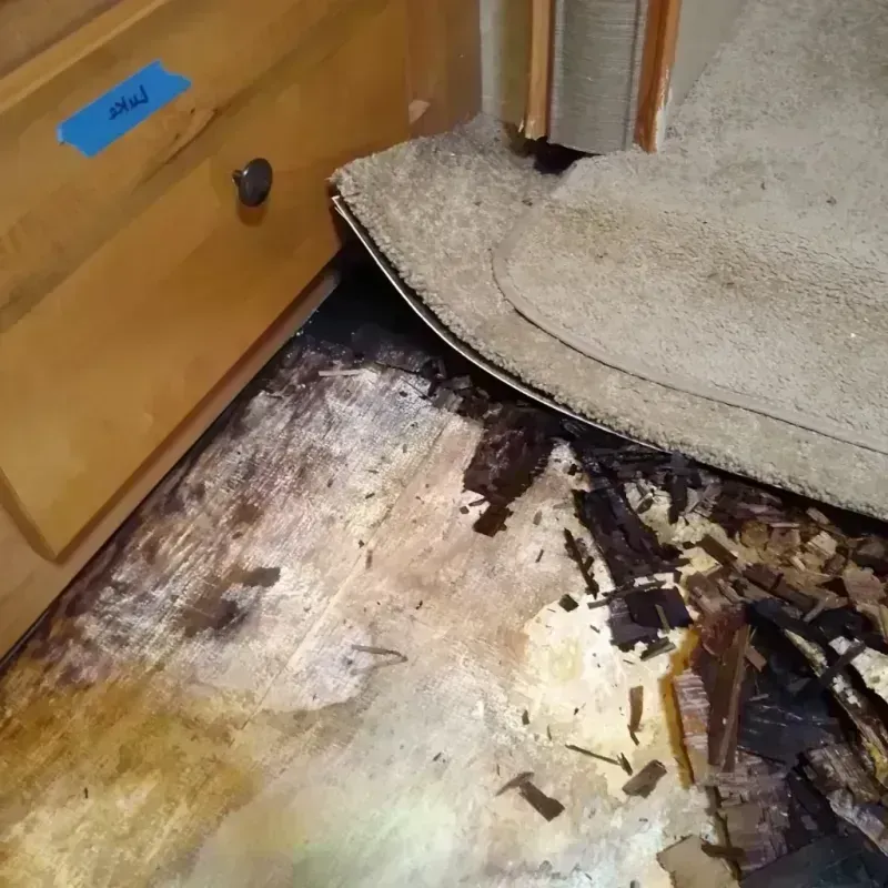 Best Wood Floor Water Damage Service in Alabama, NY